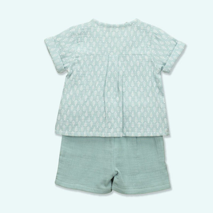 Fauno Short & Polo Set Green