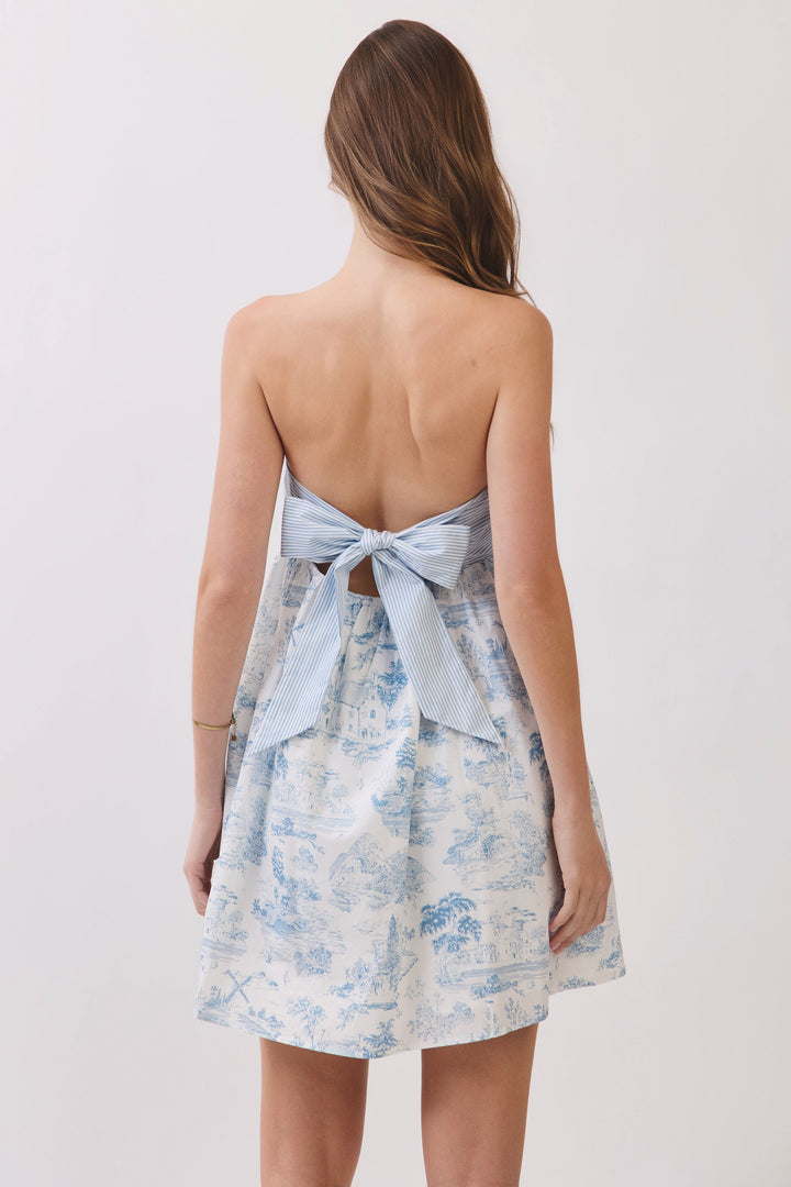 Toile Print Bow Back Mini Dress