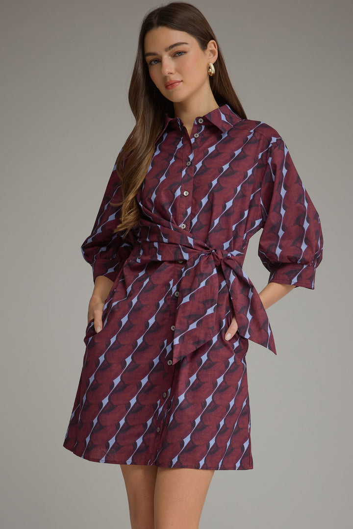 Printed Belted Shirt Dress