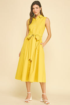 Button Down Flared Dress