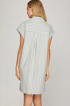 Striped Collared Button Down Mini Dress - Lush Lemon - Women&