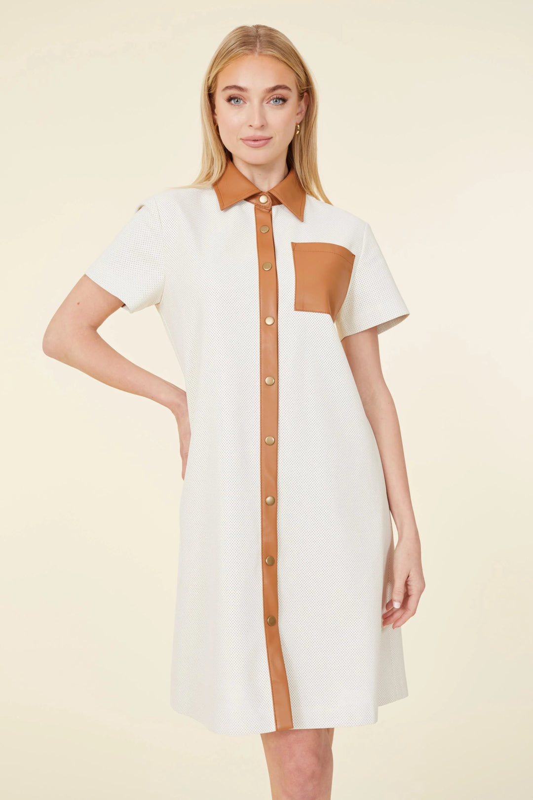 dolce cabo vegan leather dress Classic Faux Leather Dress with Puff Sleeves