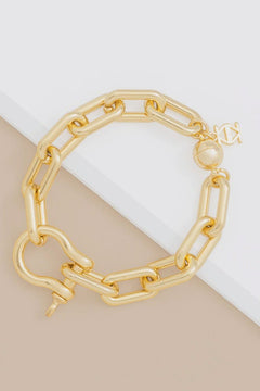 Large Horseshoe Charm Link Bracelet - Lush Lemon - Women&