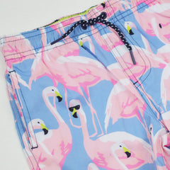 Shady Flamingo Boys 4 way Stretch Swim Trunk - Lush Lemon - Children&